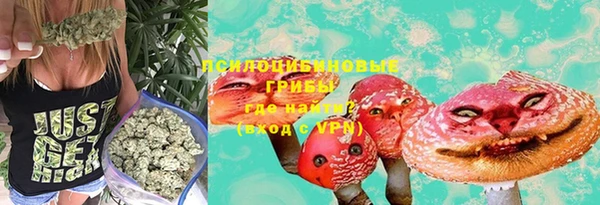 спиды Окуловка