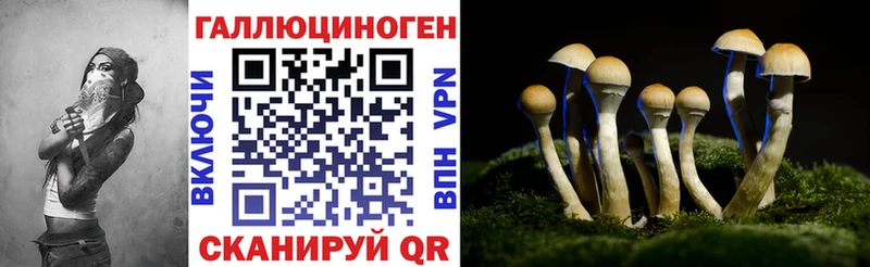 где купить наркотик  Спас-Деменск  Псилоцибиновые грибы мицелий 